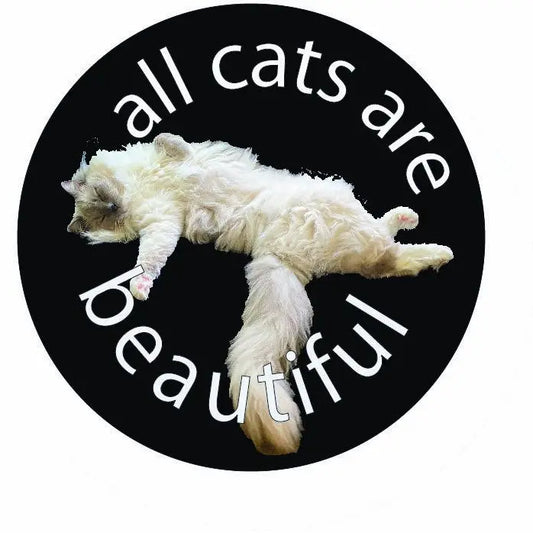 All Cats Are Beautiful Button