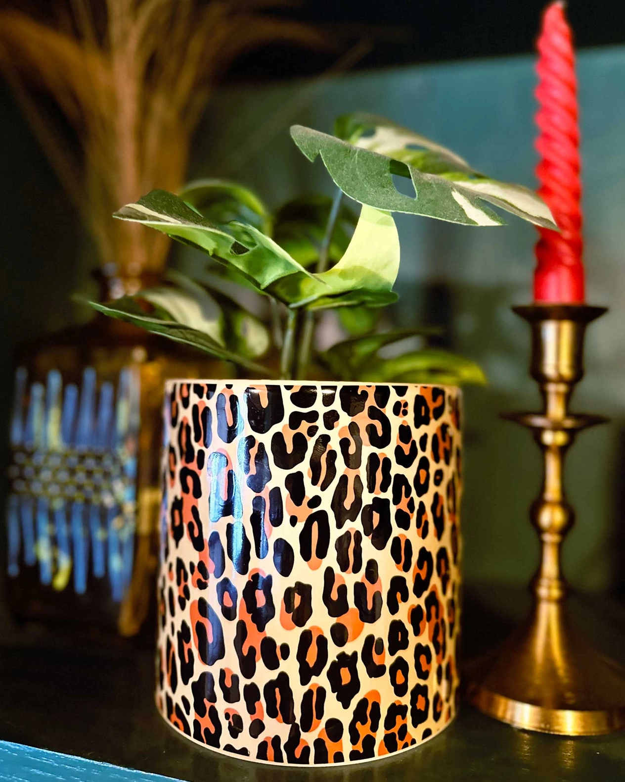 Leopard Plant Container