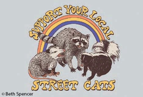 Support Your Local Street Cats Magnet