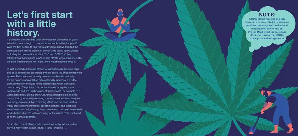 The Indispensable Scratch & Sniff Guide to Cannabis