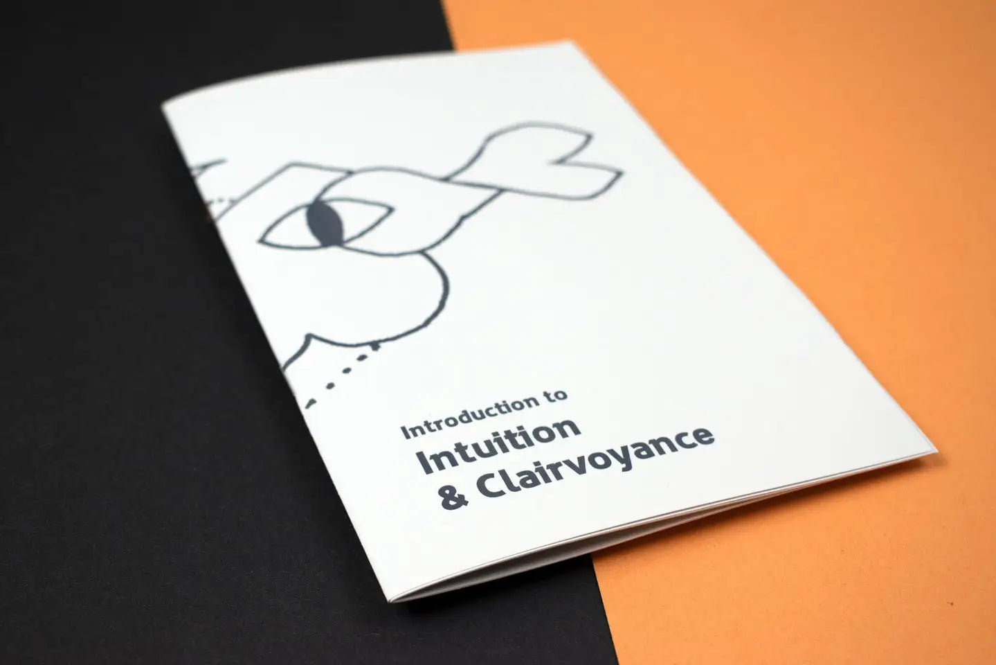 Introduction To Intuition & Clairvoyance (Zine)