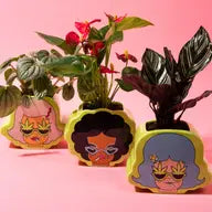 Potheads Planters